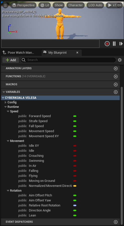 Anim Instance Variables