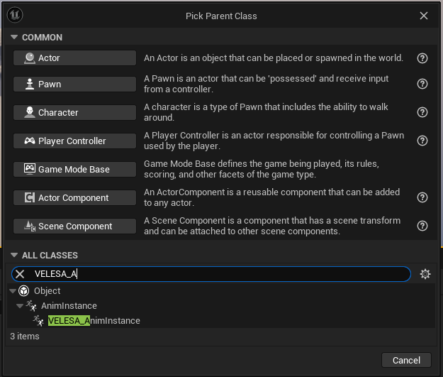 Create Anim Instance